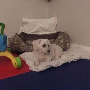 Meet your Posher, Sara